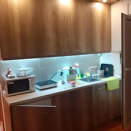 Apartment Tomic-raskovic *