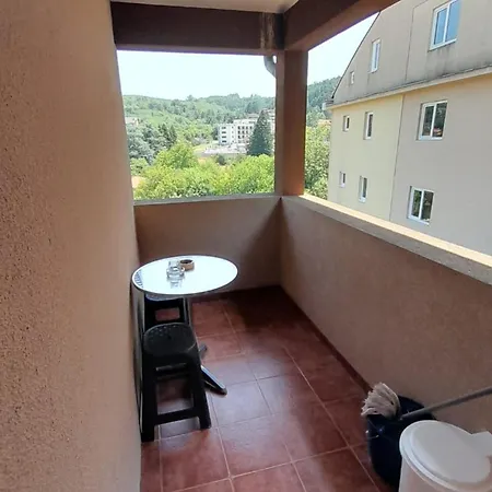 Tomic-raskovic Apartment Vrnjacka Banja