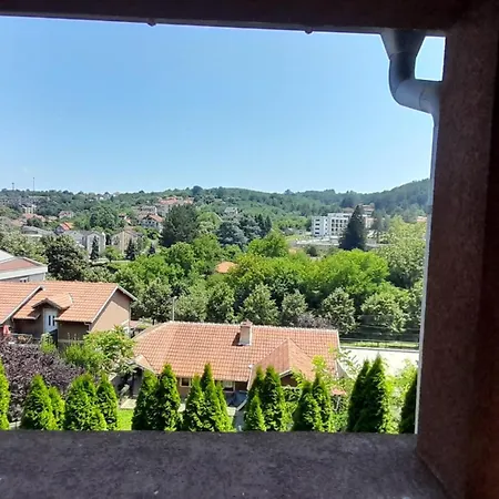 Tomic-raskovic Apartment Vrnjacka Banja