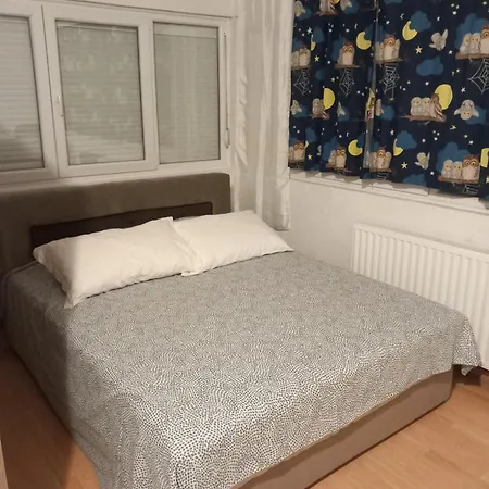 Apartment Tomic-raskovic *
